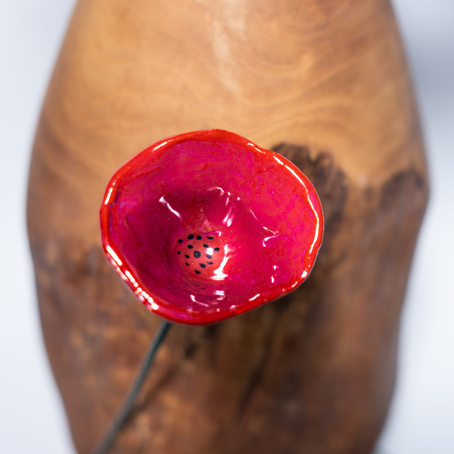 Papavero in ceramica